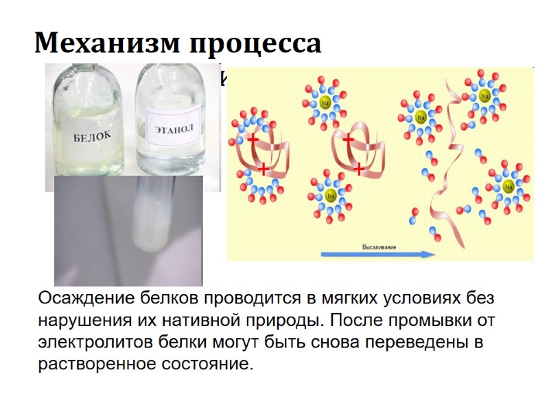 Механизм процесса высаливания Осаждение белков проводится в мягких условиях без нарушения их нативной природы. Механизм процесса высаливания Осаждение белков проводится в мягких условиях без нарушения их нативной природы.